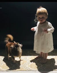 Original reference photo