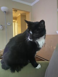 Original reference photo