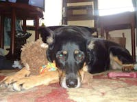 Original reference photo