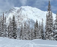 Original reference photo