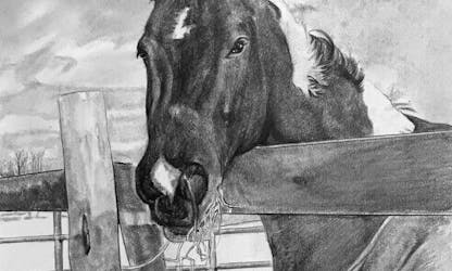 A horse resting his head on a wooden fence, drawn in pencil