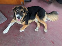 Original reference photo