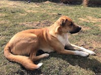 Original reference photo