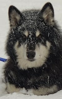 Original reference photo