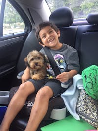 Original reference photo