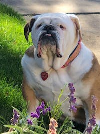 Original reference photo