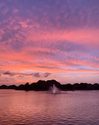 Original reference photo