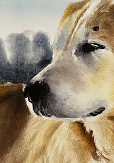 Watercolor painting of a dog