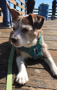 Original reference photo