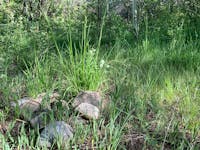 Original reference photo