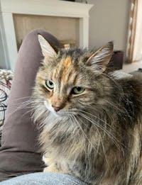 Original reference photo