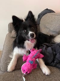 Original reference photo