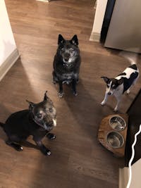 Original reference photo