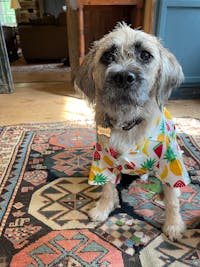 Original reference photo