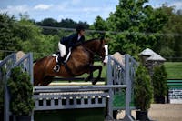 Original reference photo