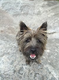 Original reference photo