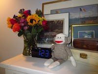 Original reference photo