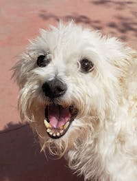 Original reference photo