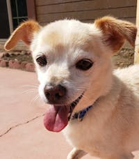 Original reference photo