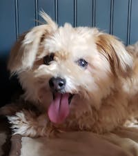 Original reference photo