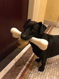 Original reference photo