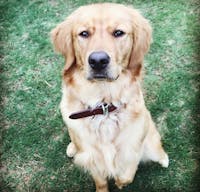 Original reference photo