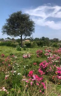 Original reference photo