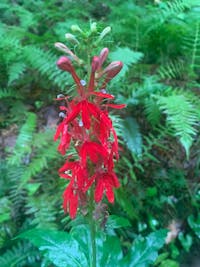 Original reference photo