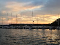 Original reference photo