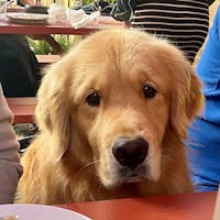 Original reference photo