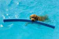 Original reference photo