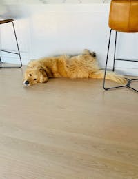 Original reference photo