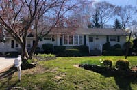 Original reference photo