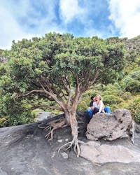 Original reference photo