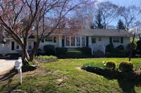 Original reference photo