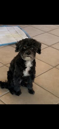 Original reference photo