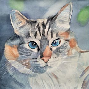 Watercolor portrait painting of a cat in the style of Udnie, Young American Girl by Francis Picabia