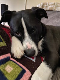 Original reference photo