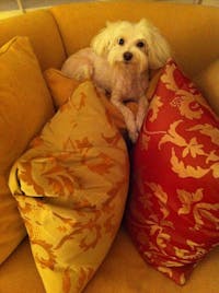 Original reference photo