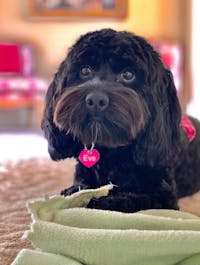 Original reference photo