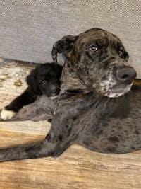 Original reference photo