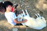 Original reference photo