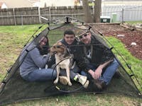 Original reference photo