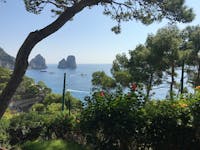 Original reference photo