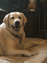 Original reference photo