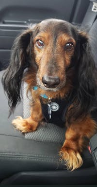 Original reference photo