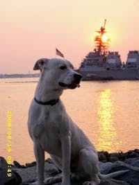 Original reference photo