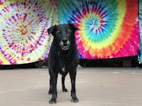 Original reference photo