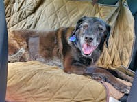 Original reference photo