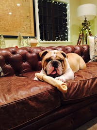 Original reference photo